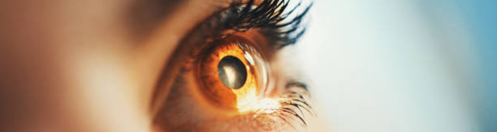 CZYTNIKI GAŁKI OCZNEJ - Sklepy Spożywcze