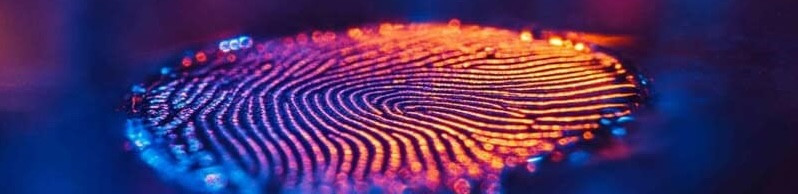 CZYTNIKI LINII PAPILARNYCH - Transport i Logistyka