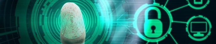 CZYTNIKI LINII PAPILARNYCH - Inwentaryzacja 